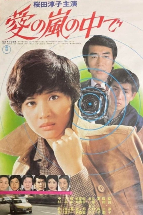 Movie poster for Inside the Storm of Love (1978)