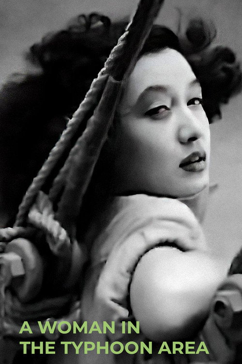 Movie poster for A Woman in the Typhoon Area (1948)