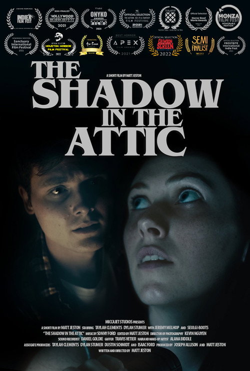 Movie poster for The Shadow in the Attic (2021)