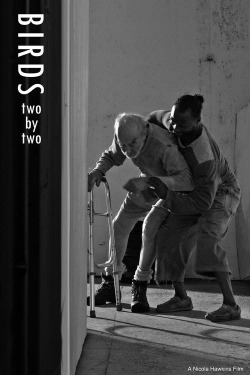 Movie poster for Birds Two by Two (2025)