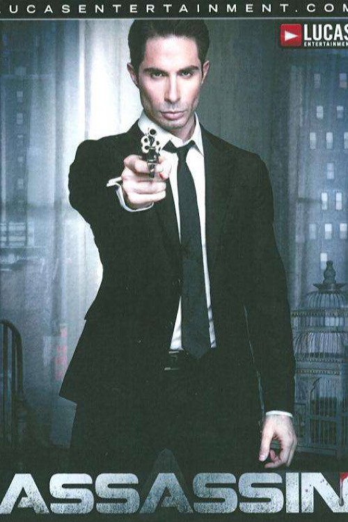 Movie poster for Assassin (2011)
