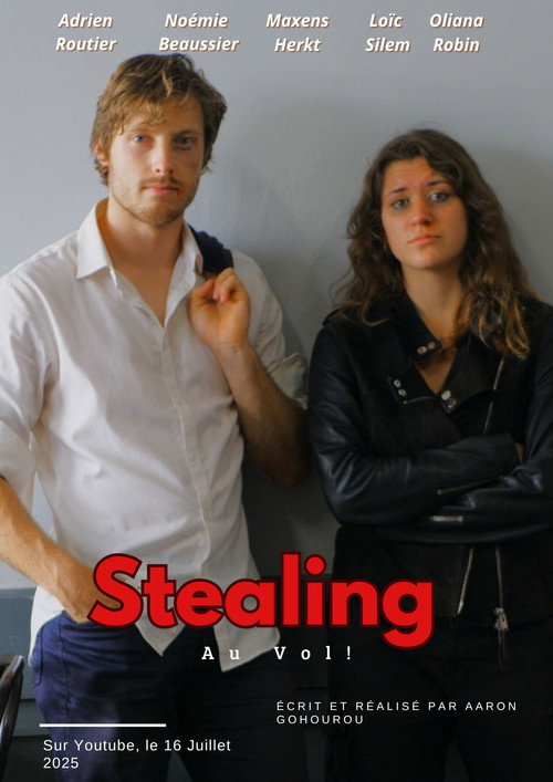 Movie poster for Stealing Au Vol (2025)
