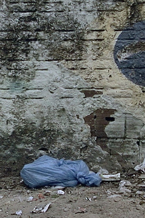 Movie poster for O Saco Azul (2010)