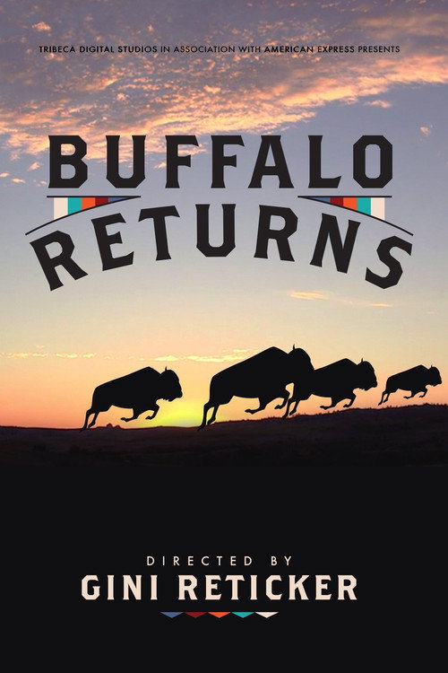 Movie poster for Buffalo Returns (2015)