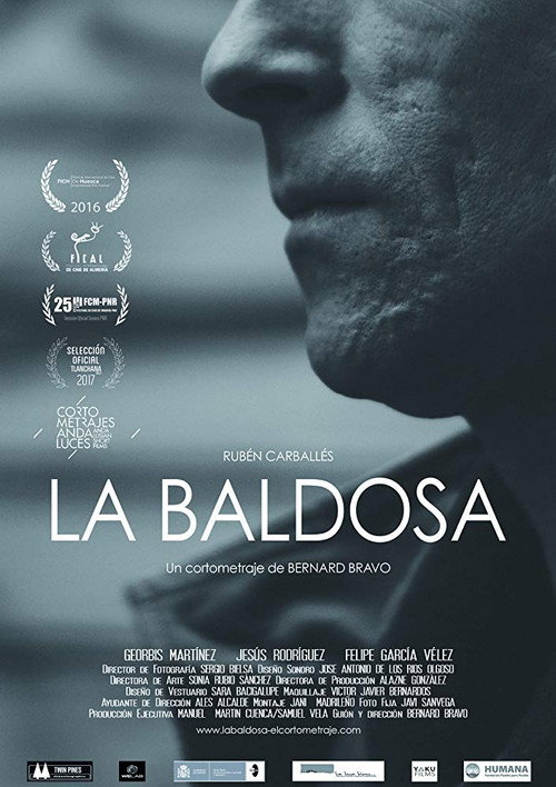 Movie poster for La baldosa (2016)