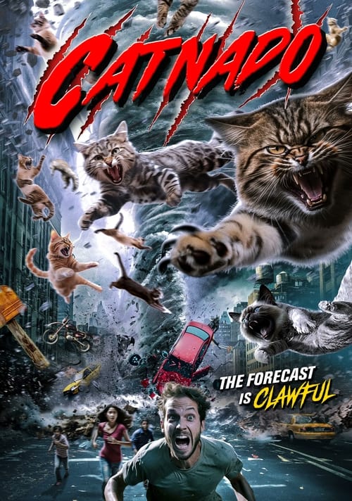 Movie poster for Catnado (2024)