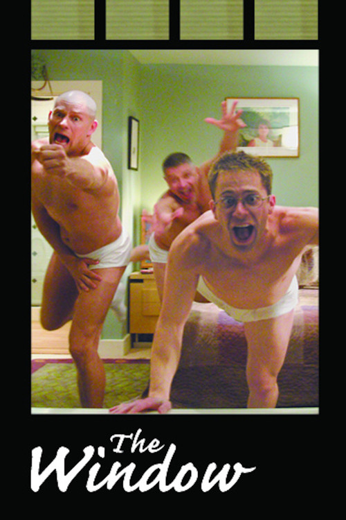 Movie poster for The Window (2008)