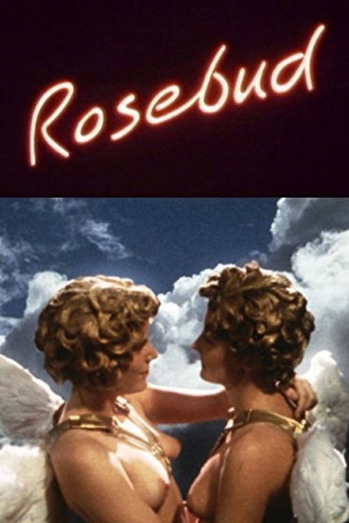 Movie poster for Rosebud (1991)