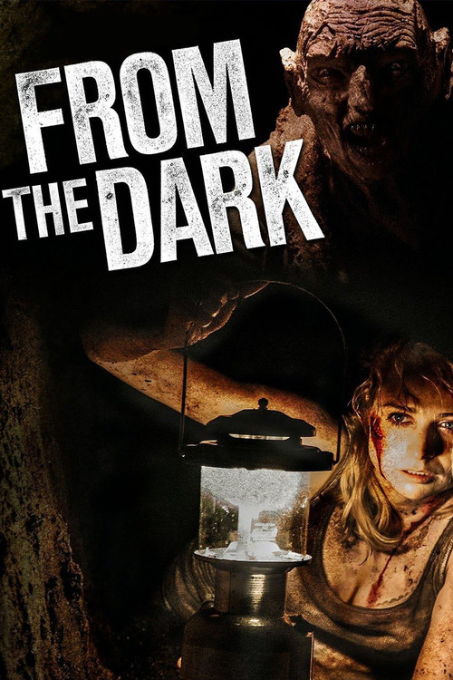 Movie poster for From the Dark (2014)
