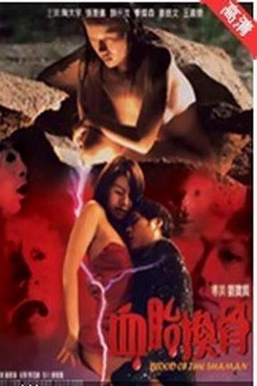 Movie poster for Blood Of The Shaman (2004)