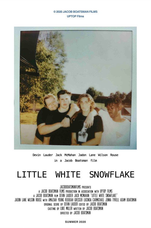 Movie poster for Little White Snowflake (2020)
