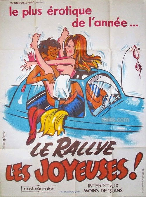 Movie poster for Sex Rally (1974)