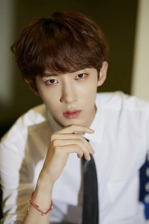 Huang Xinchun profile