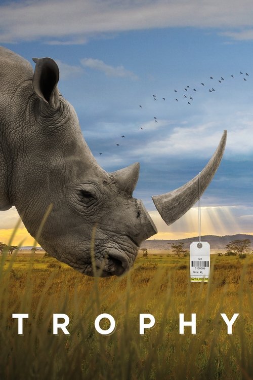 Movie poster for Trophy (2017)