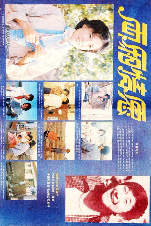 Movie poster for 两厢情愿 (1987)