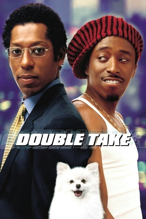 Movie poster for Double Take (2001)