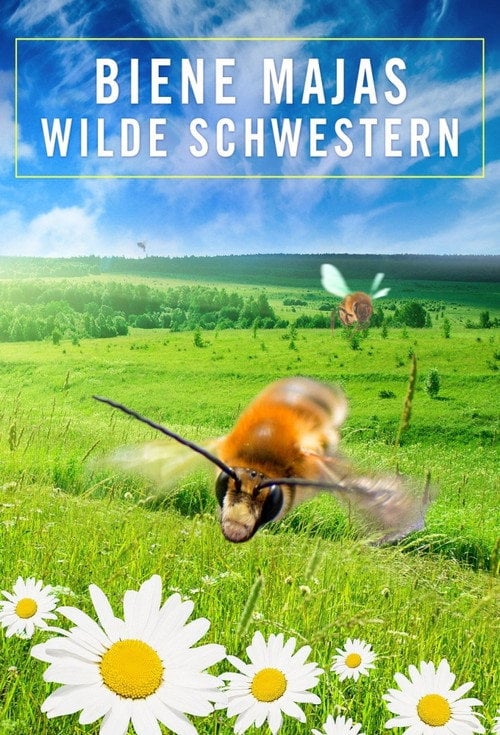 Movie poster for Biene Majas wilde Schwestern (2017)