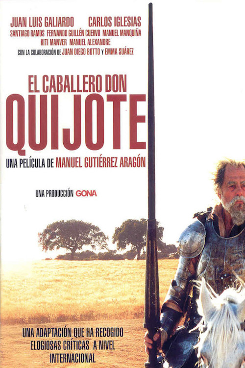 Movie poster for Don Quixote, Knight Errant (2002)