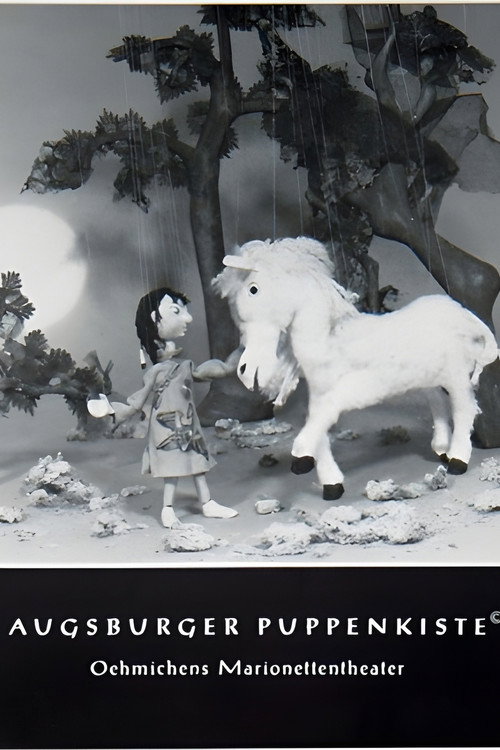 Movie poster for So Hi und das weiße Pferd (1981)