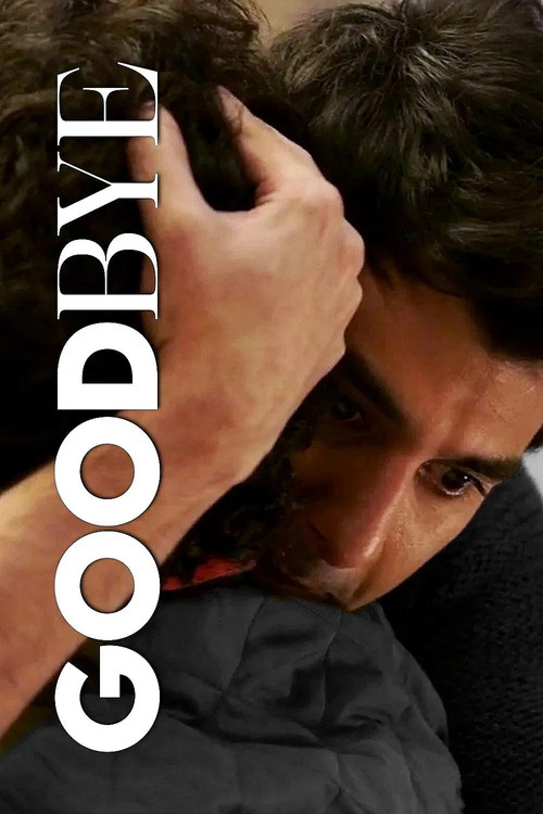 Movie poster for Goodbye (2022)