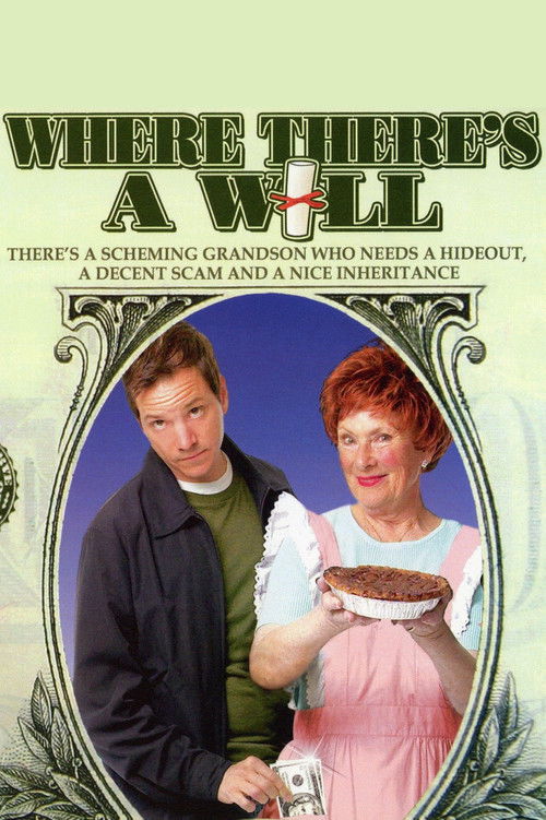 Movie poster for Where There's a Will (2006)