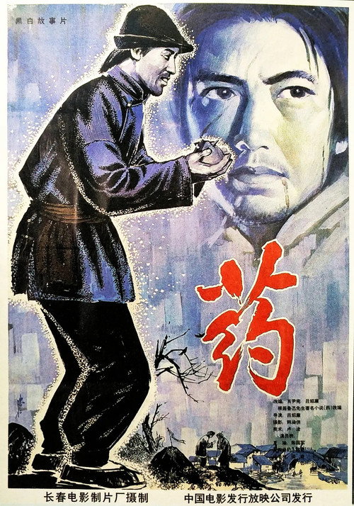 Movie poster for Medicine (1981)