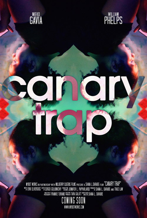 Movie poster for Canary Trap (2024)