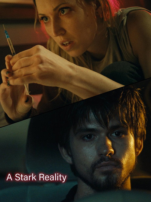 Movie poster for A Stark Reality (2019)