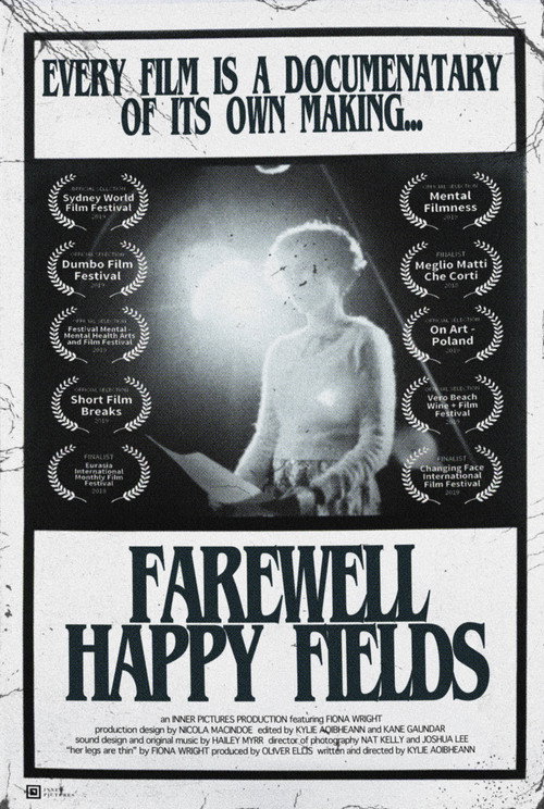 Movie poster for Farewell Happy Fields (2017)