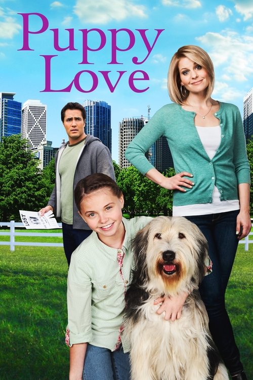 Movie poster for Puppy Love (2012)