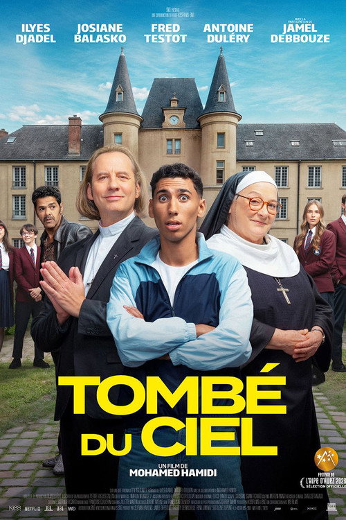 Movie poster for Tombé du ciel (2026)