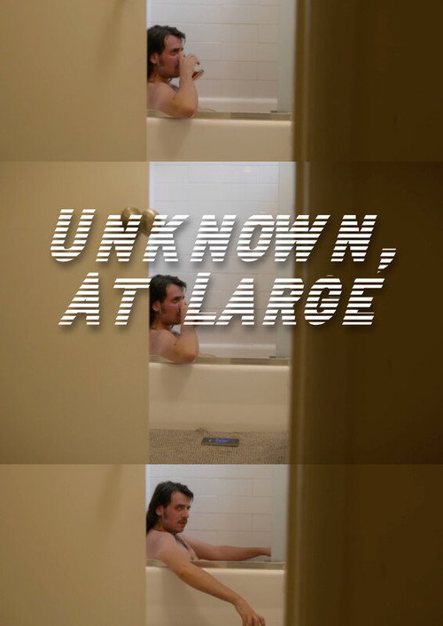 Movie poster for Unknown, At Large (2025)