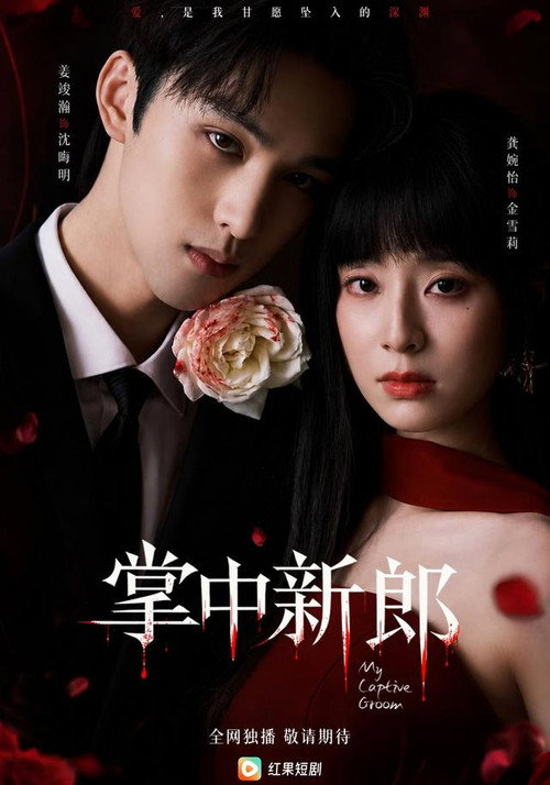 Series poster for 掌中新郎 (2026)