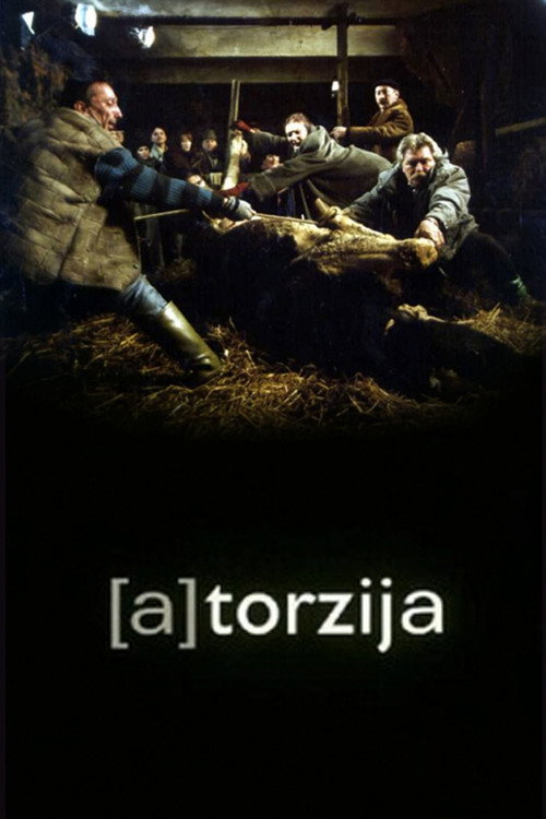 Movie poster for (A)Torsion (2003)