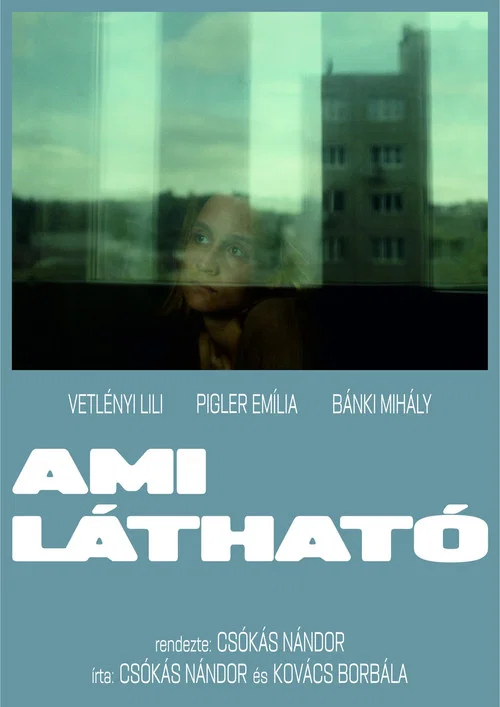 Movie poster for Ami Látható