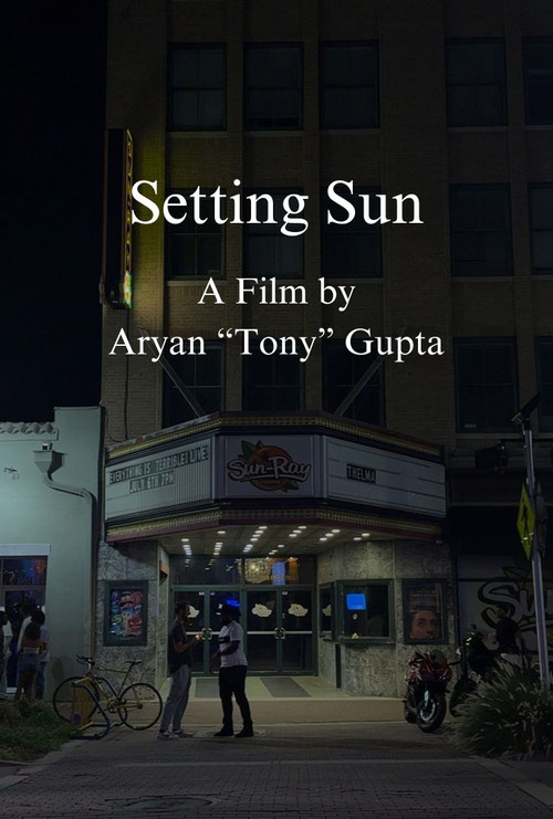 Movie poster for Setting Sun (2024)