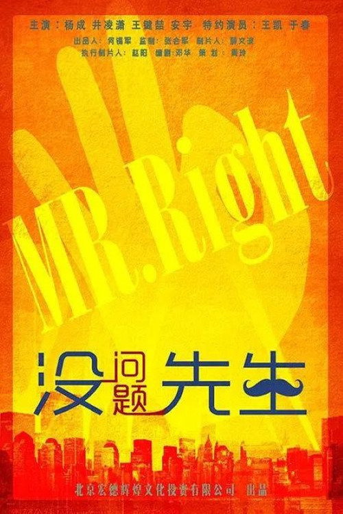 Movie poster for 没问题先生 (2015)