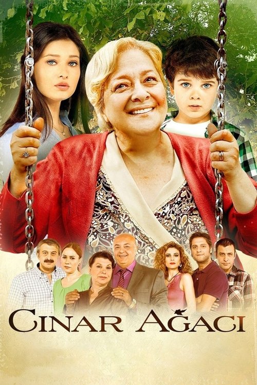 Movie poster for The Plane Tree (2011)