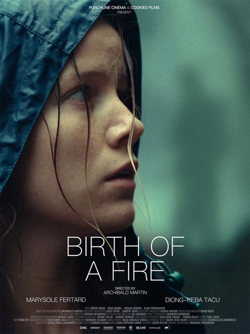 Movie poster for Birth of a Fire (2025)