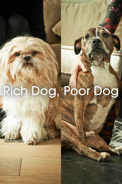 Movie poster for Rich Dog, Poor Dog (2017)