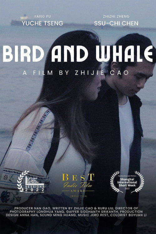 Movie poster for Bird and Whale (2021)