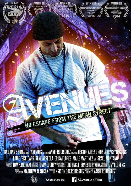 Movie poster for Avenues (2013)