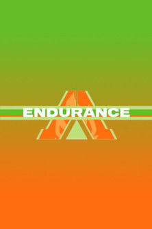 Endurance poster