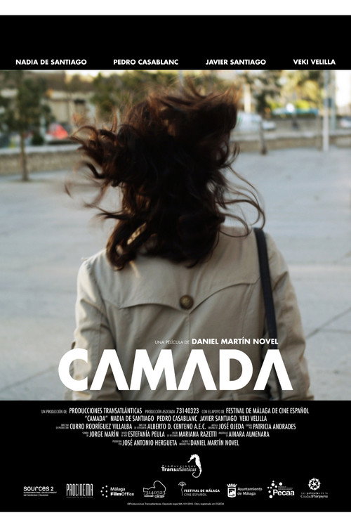 Movie poster for Camada (2016)