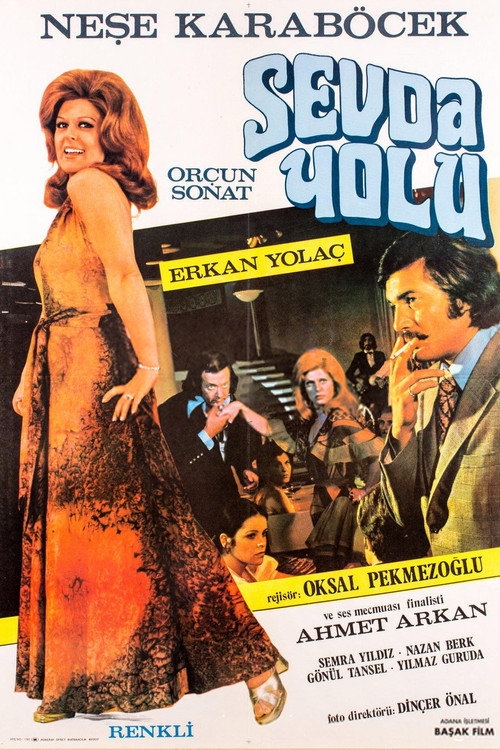 Movie poster for Sevda Yolu (1973)