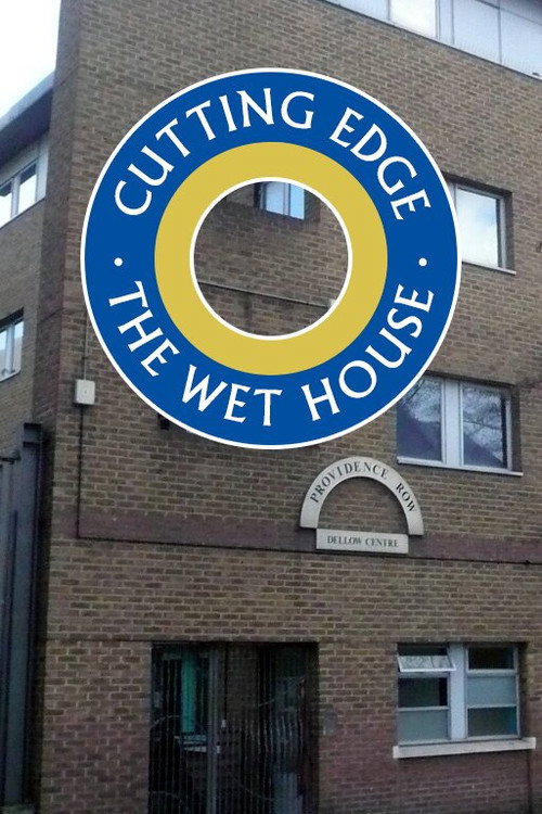 Movie poster for The Wet House (2002)