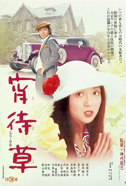 Movie poster for Evening Primrose (1974)