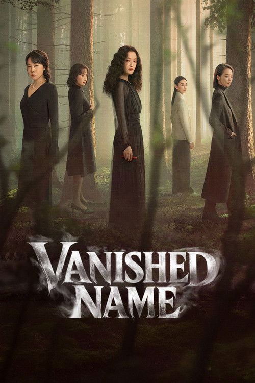Vanished Name poster
