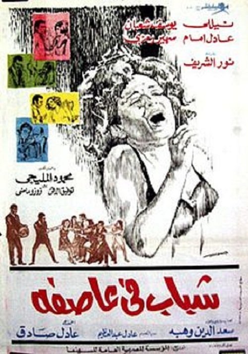 Movie poster for Youth in a Storm (1971)