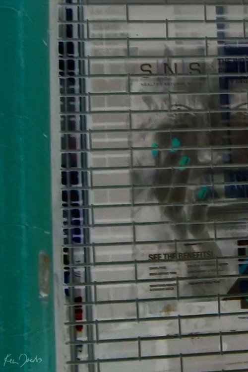 Movie poster for Storefront (2020)